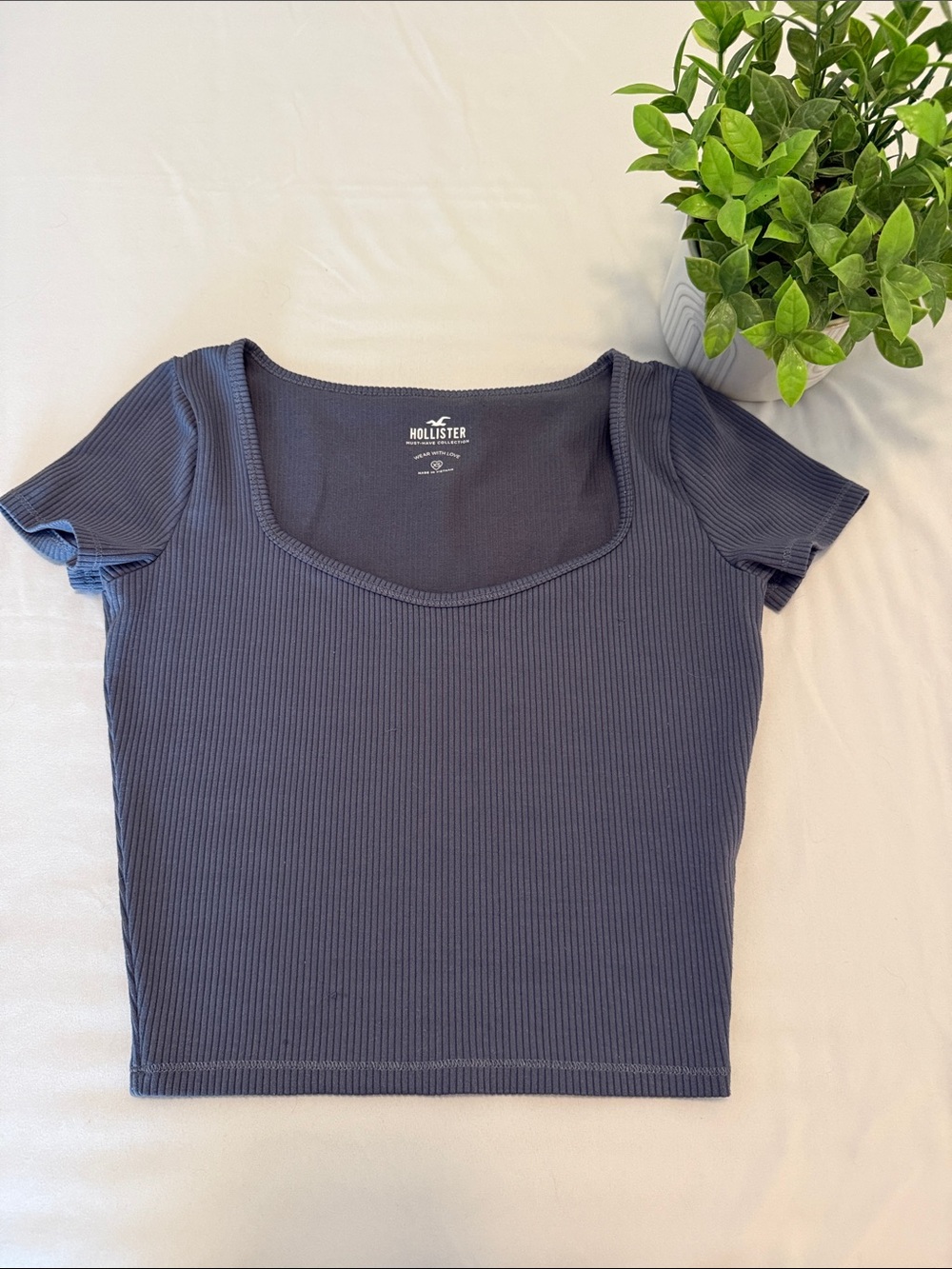 Hollister Ribbed Scoop Neck Short Sleeve Crop Top - Charcoal Gray